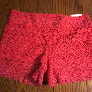 NWT Pink Ann Taylor Loft Shorts
